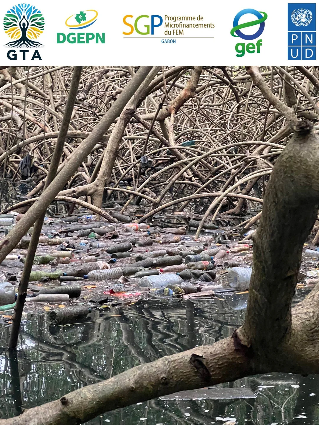 Affiche GTA et GEF-SGP sur la protection des mangroves et le recyclage