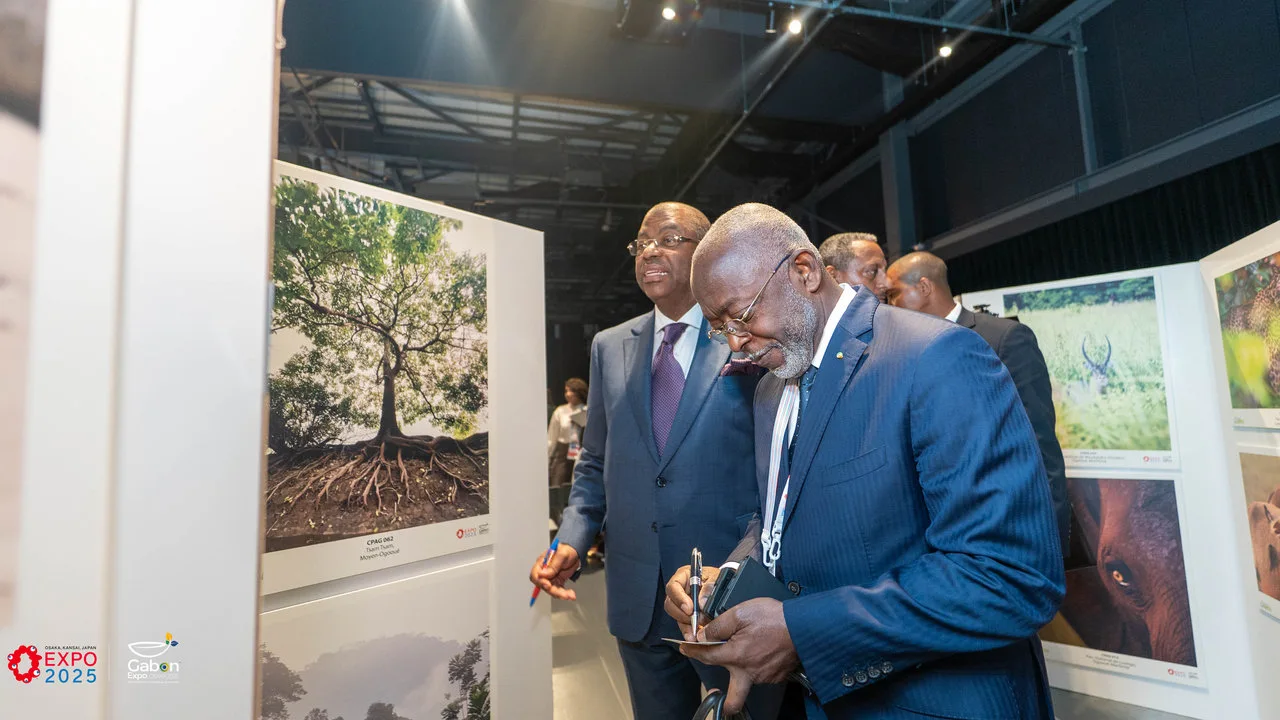 À Osaka 2025, Amazing Gabon expose la beauté sauvage de la forêt gabonaise — photographie 2