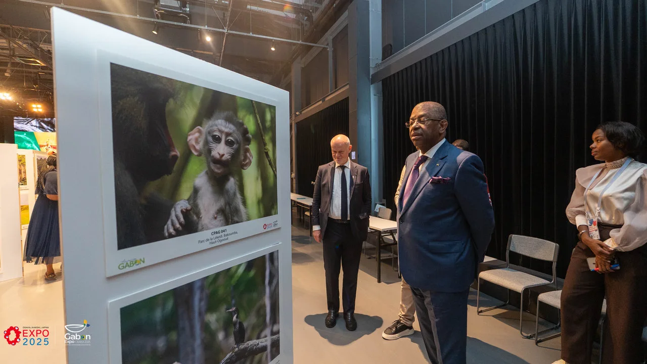 À Osaka 2025, Amazing Gabon expose la beauté sauvage de la forêt gabonaise — photographie 5