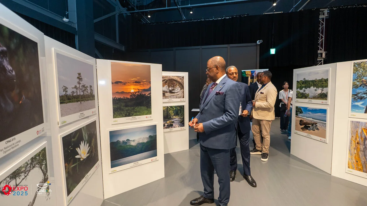 À Osaka 2025, Amazing Gabon expose la beauté sauvage de la forêt gabonaise — photographie 4