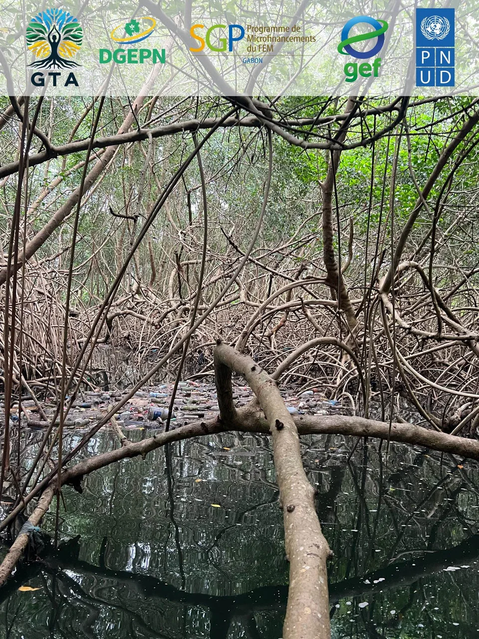 Nettoyage des Mangroves de la Rivière Tsini : Un Combat Contre la Pollution Plastique — photographie 2