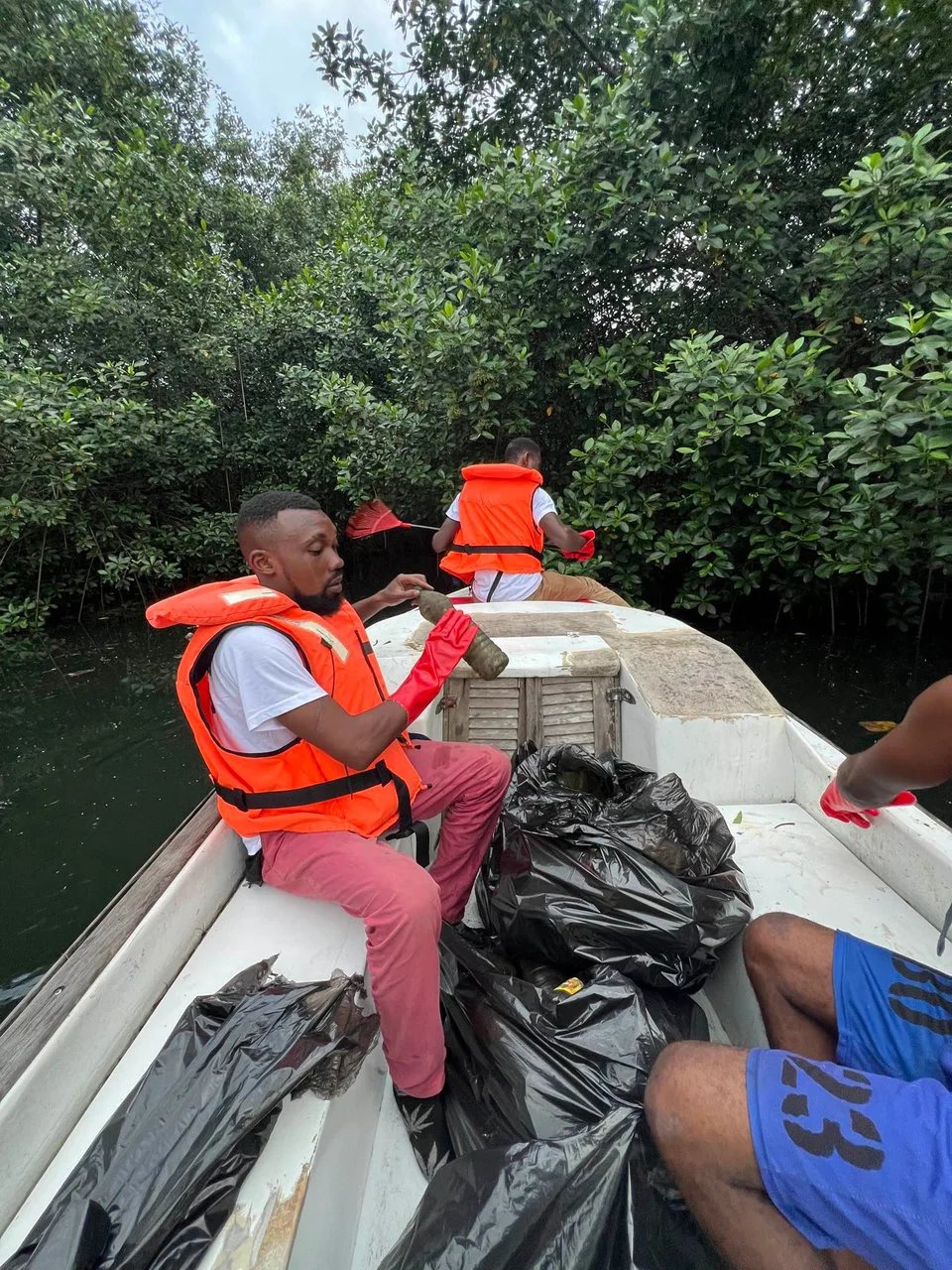 Nettoyage des Mangroves de la Rivière Tsini : Un Combat Contre la Pollution Plastique — photographie 5