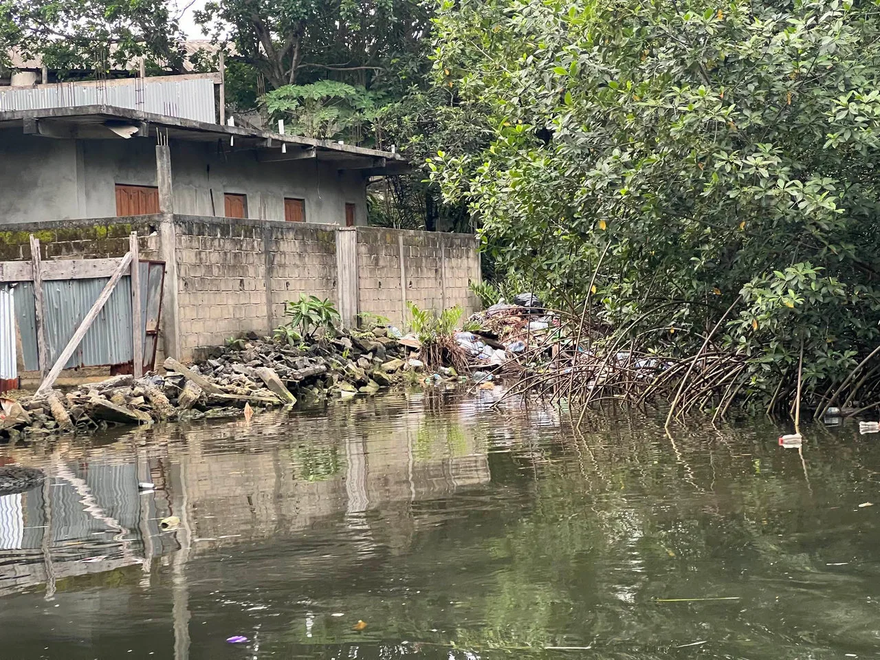 Nettoyage des Mangroves de la Rivière Tsini : Un Combat Contre la Pollution Plastique — photographie 4