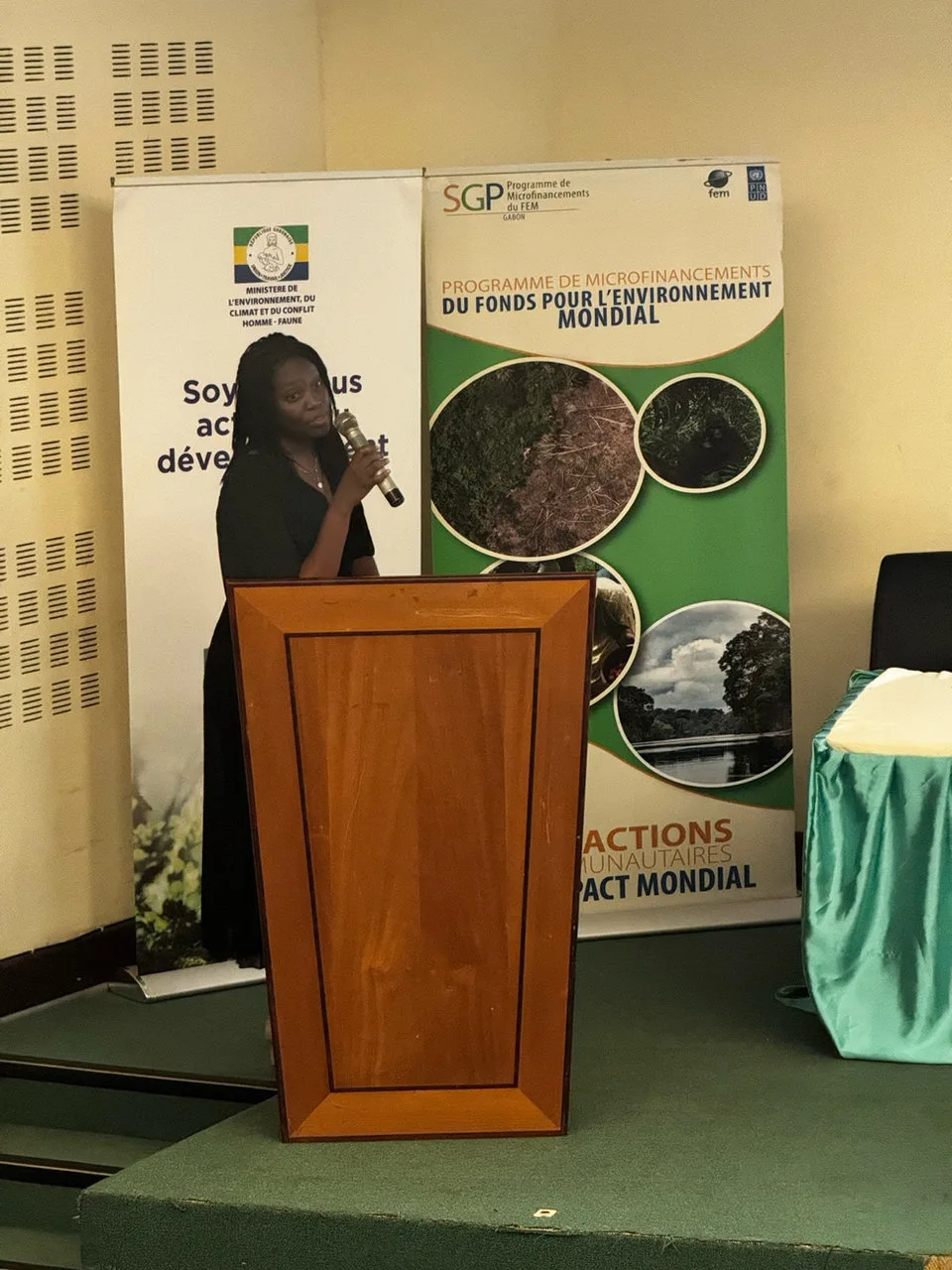 Gabon Terre d’Avenir participe à la réunion du GEF-SGP avec le Ministre de l’Environnement — photographie 3