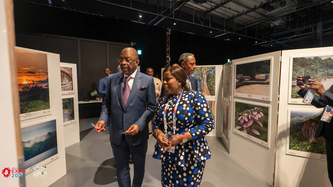 À Osaka 2025, Amazing Gabon expose la beauté sauvage de la forêt gabonaise — photographie 1