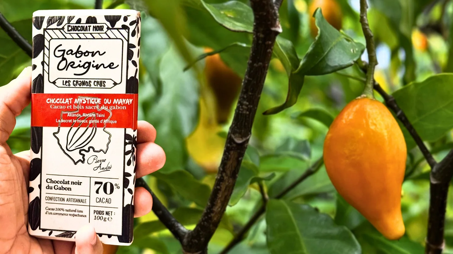 Chocolat à l’iboga Gabon Origine présenté devant des fruits d’iboga