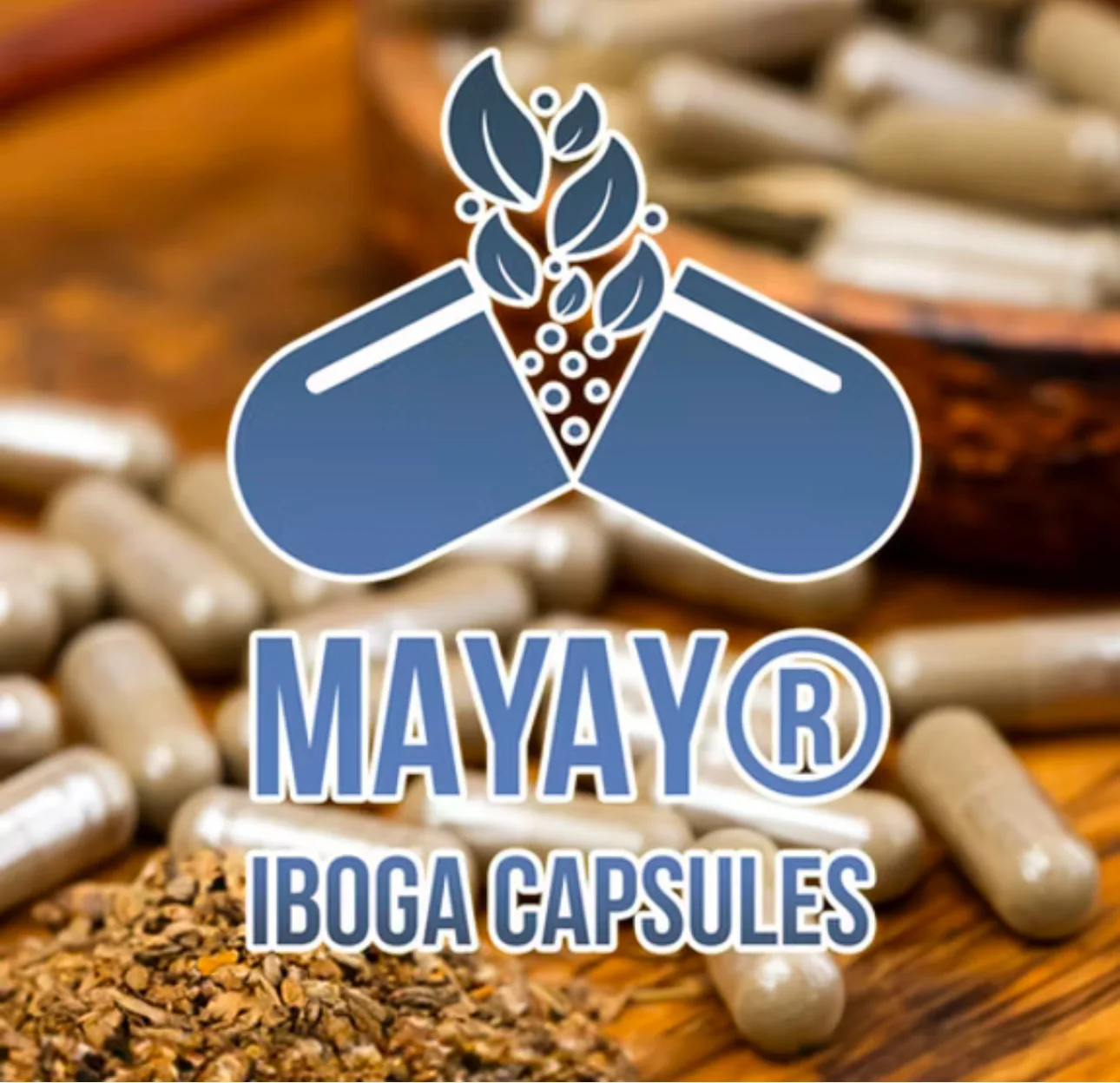 Logo MAYAY Iboga Capsules sur fond de gélules