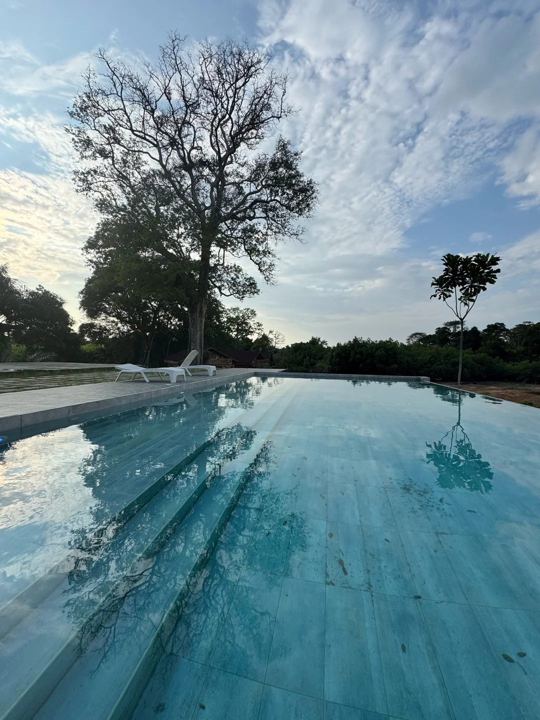 Piscine de Ndossi Village et chaises longues sous le grand arbre